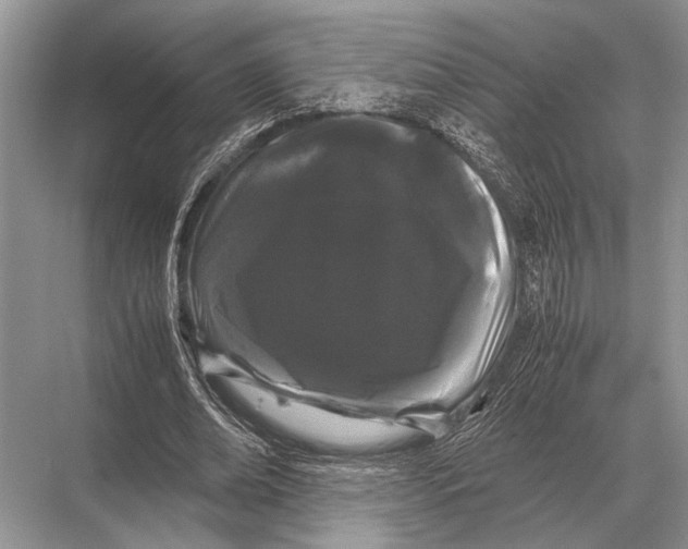 X0000067870678200605041808