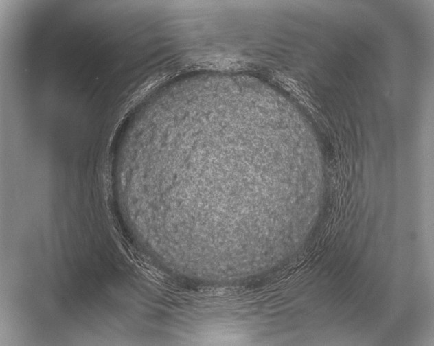 X0000067870679200605041808