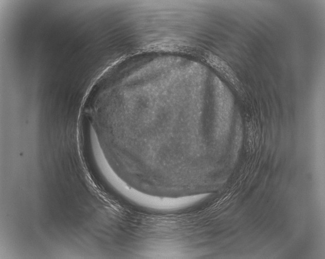 X0000067870680200605041808