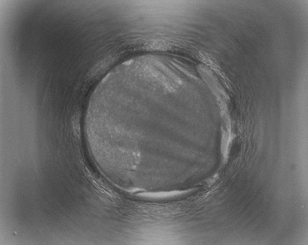 X0000067870681200605041808