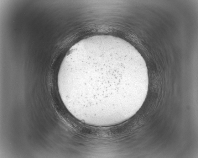 X0000067870683200605041808