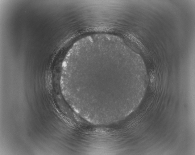 X0000067870684200605041808