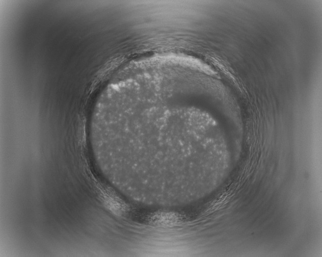 X0000067870685200605041808