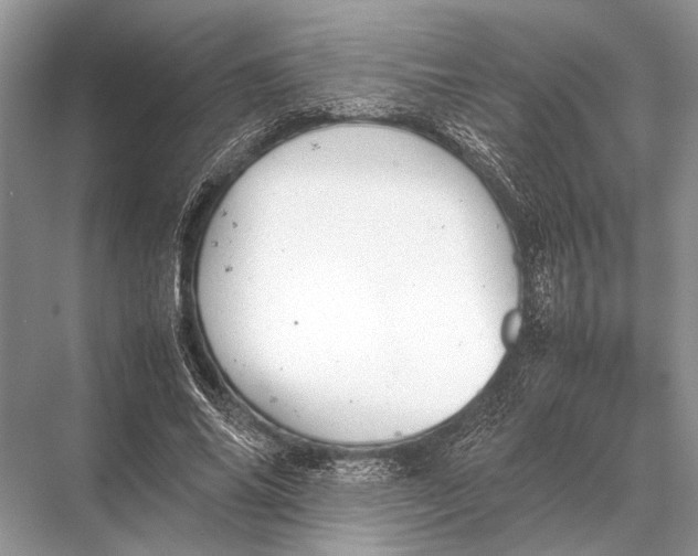 X0000067870686200605041808