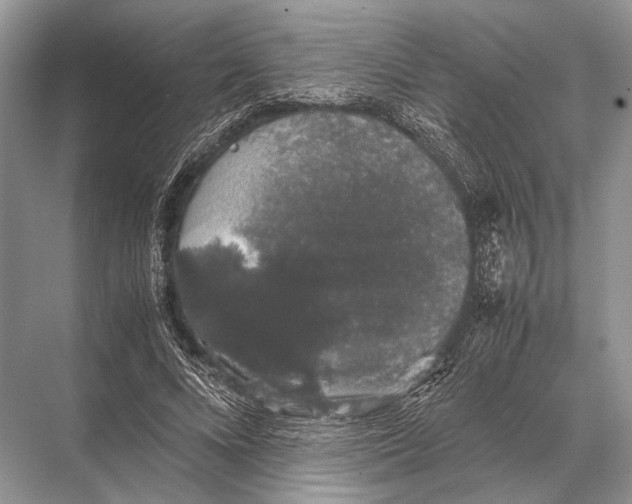 X0000067870688200605041808