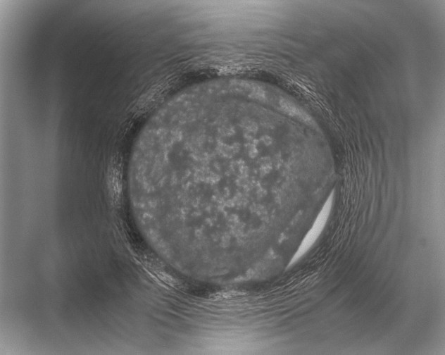 X0000067870691200605041807