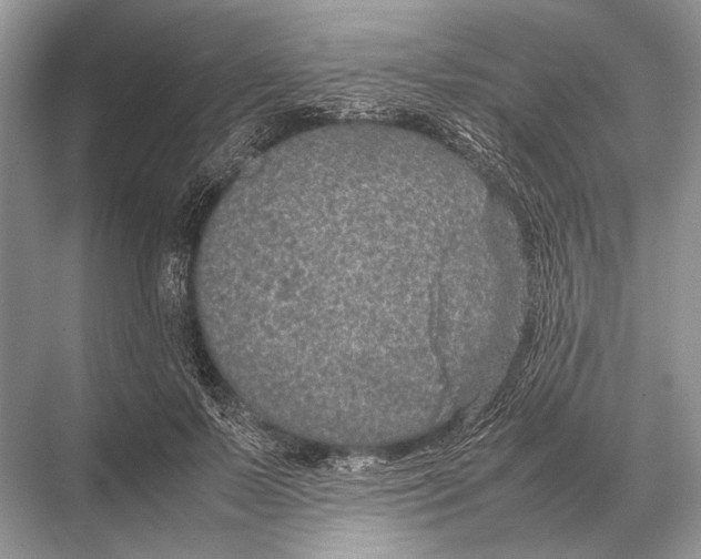 X0000067870695200605041807