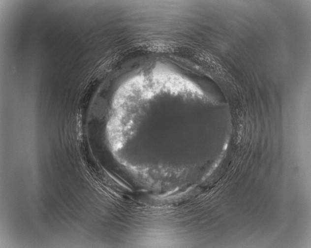 X0000067870696200605041807