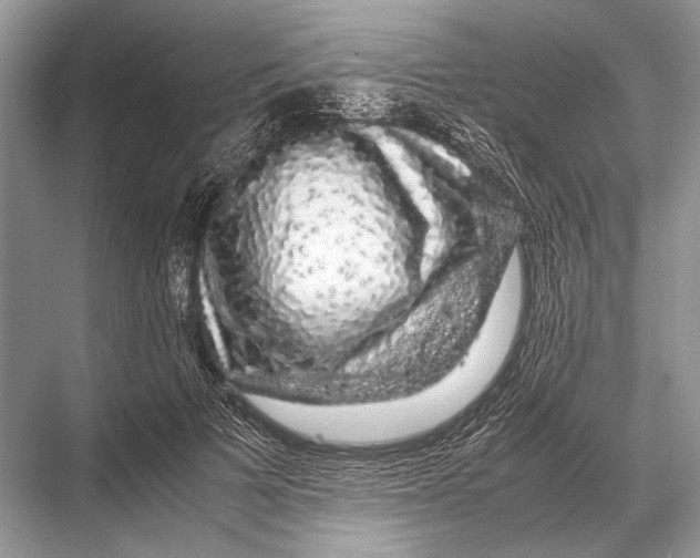 X0000067870697200605041807