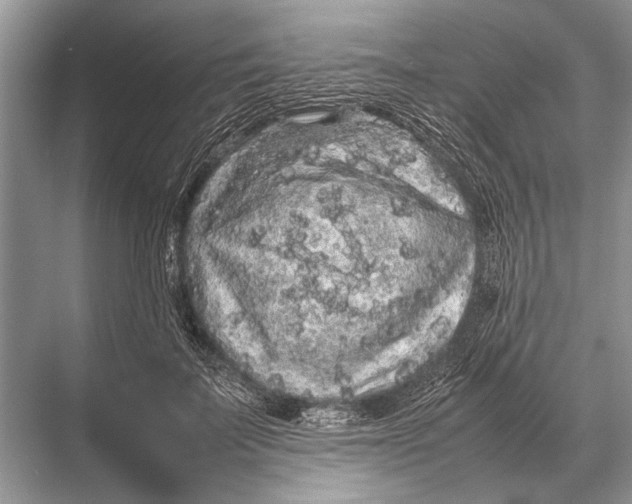 X0000067870699200605041807