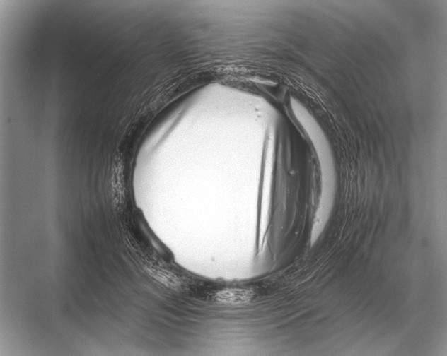 X0000067870700200605041807