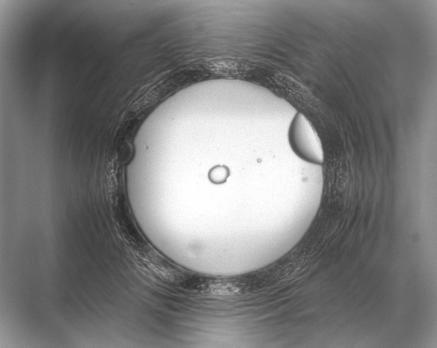 X0000067870702200605041807