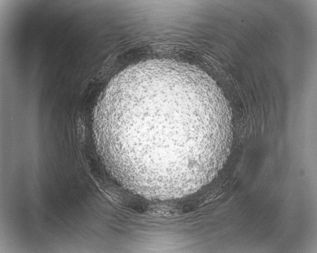 X0000067870703200605041807