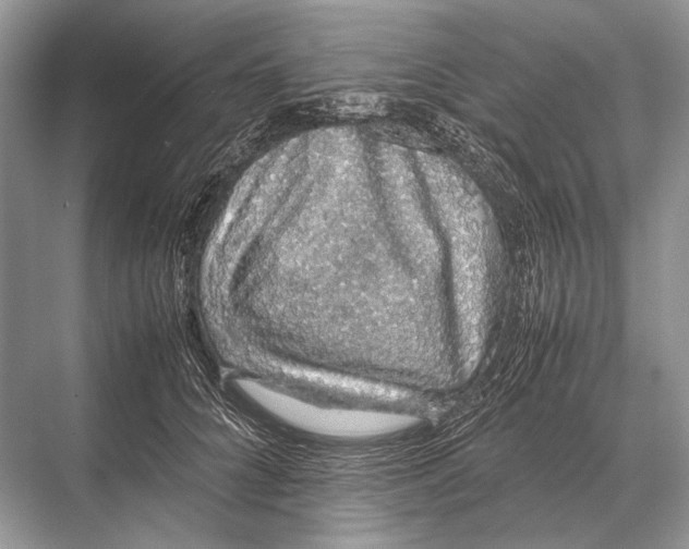 X0000067870704200605041807