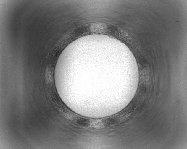 X0000067870705200605041807