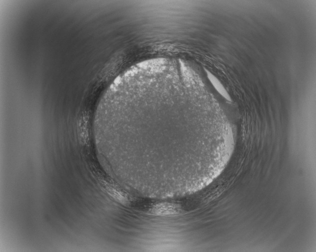 X0000067870708200605041807