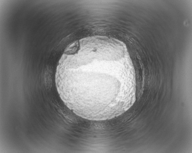 X0000067870710200605041807