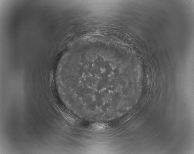 X0000067870711200605041807