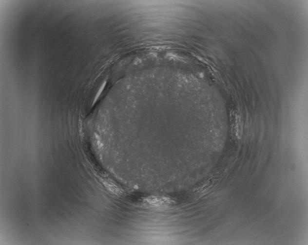 X0000067870712200605041807