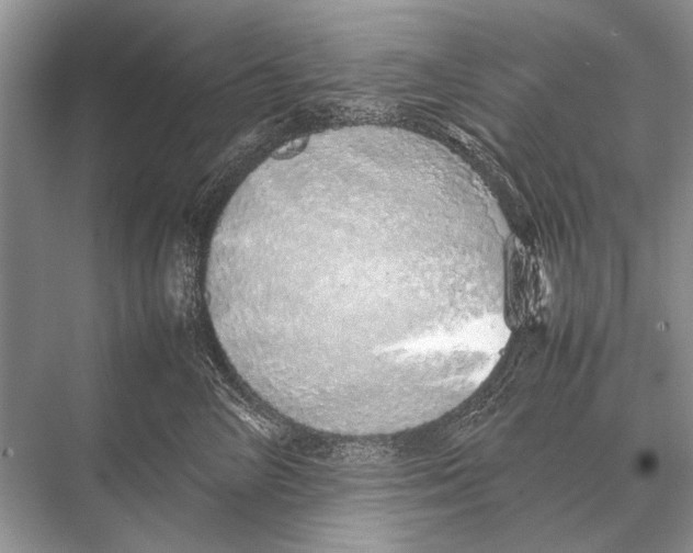 X0000067870714200605041807