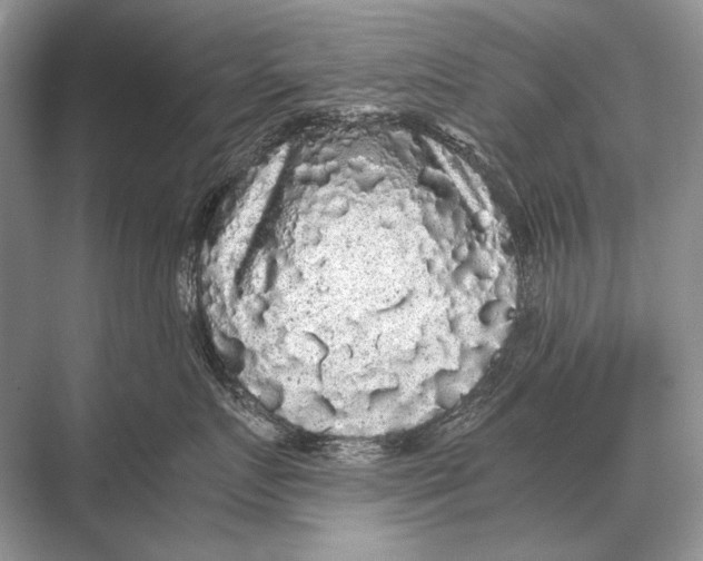 X0000067870719200605041807