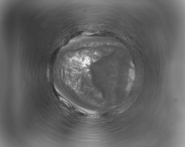 X0000067870720200605041807