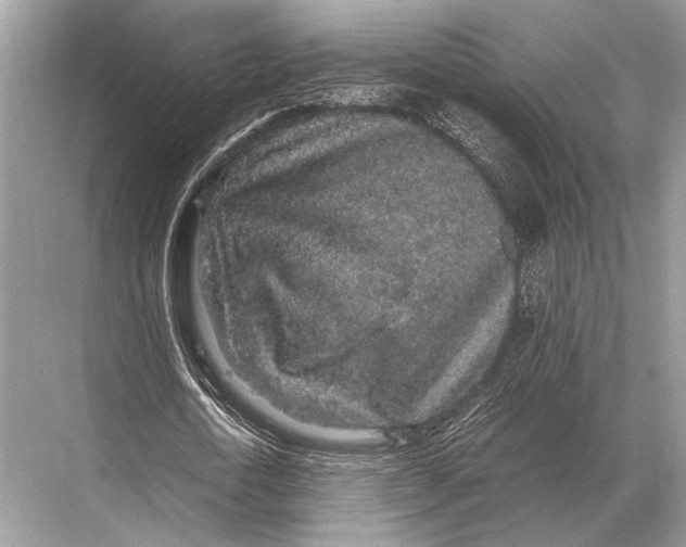 X0000067870722200605041806