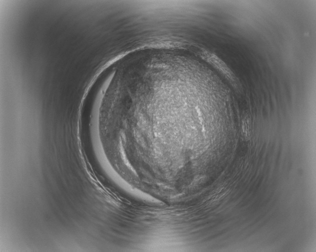 X0000067870724200605041806