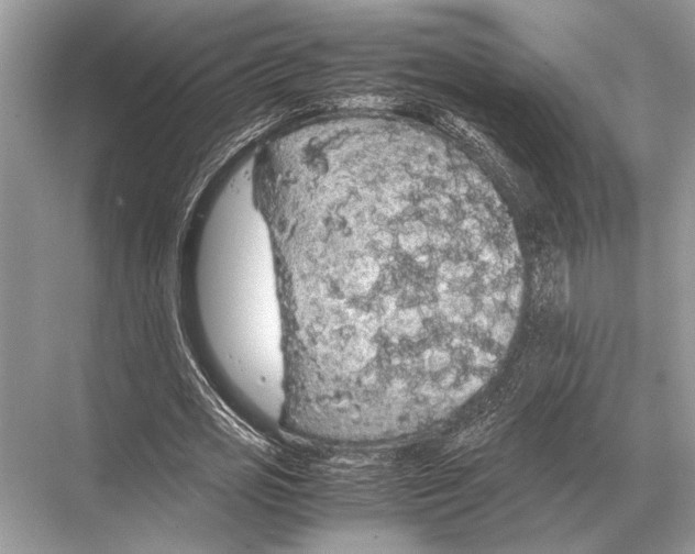 X0000067870725200605041806