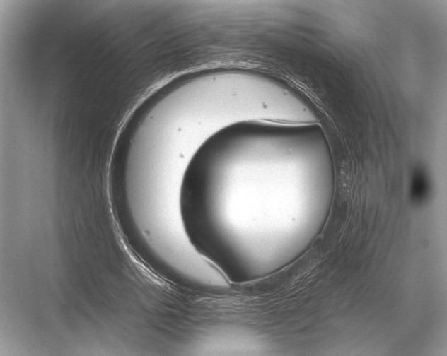 X0000067870726200605041806