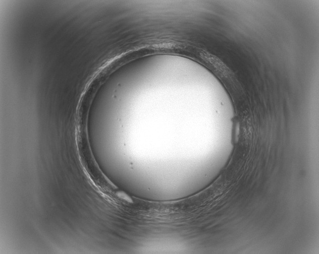 X0000067870728200605041806