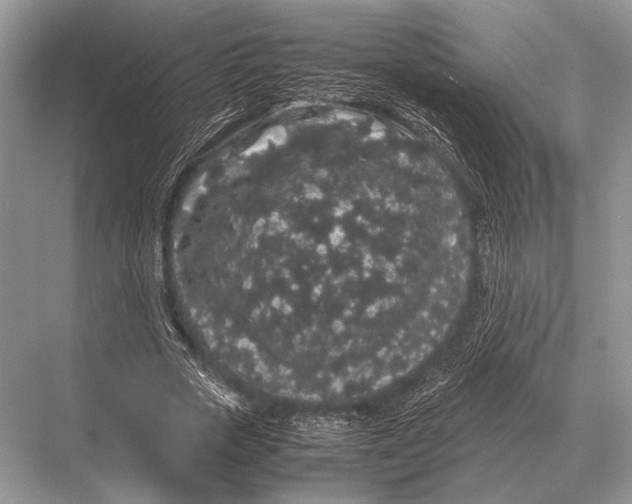 X0000067870729200605041806