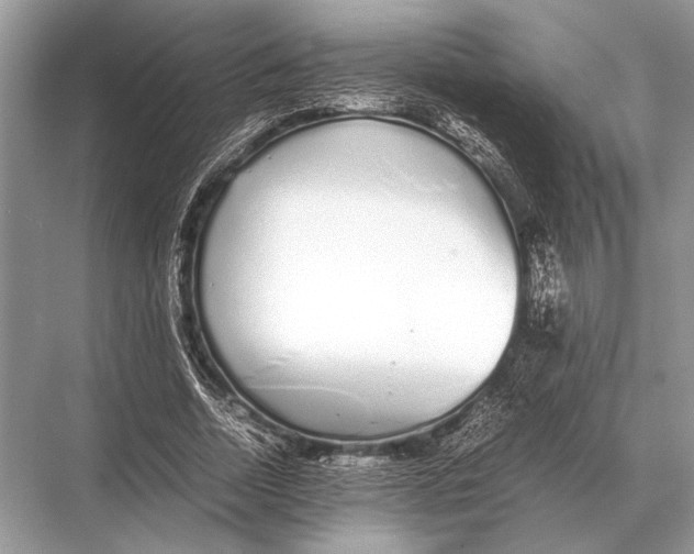 X0000067870730200605041806