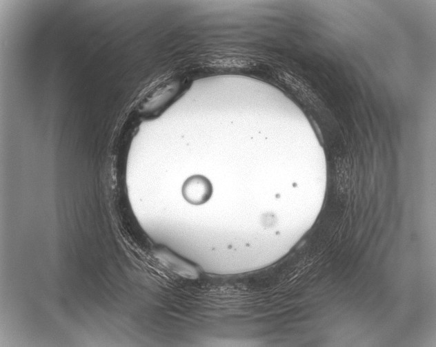 X0000067870731200605041806