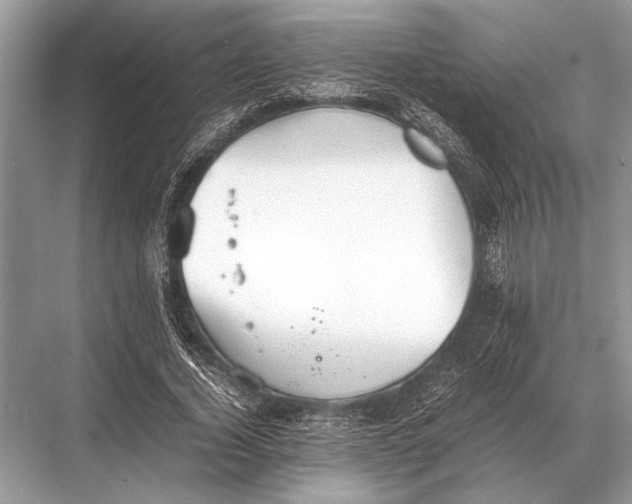 X0000067870732200605041806