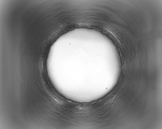 X0000067870733200605041806