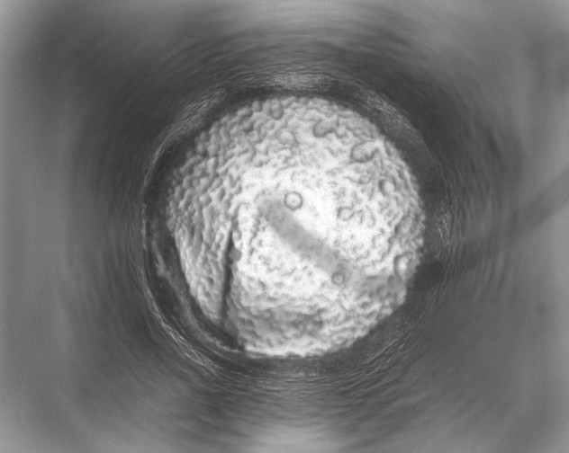 X0000067870734200605041806