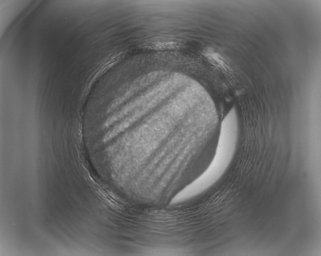 X0000067870735200605041806