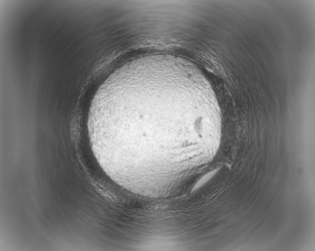 X0000067870736200605041806