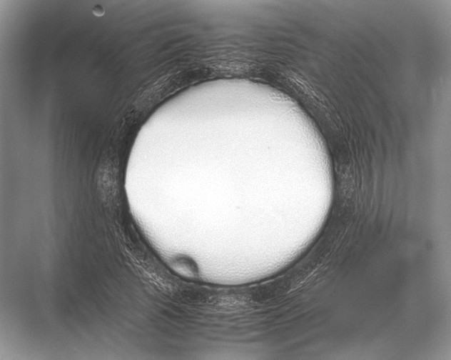 X0000067870737200605041806