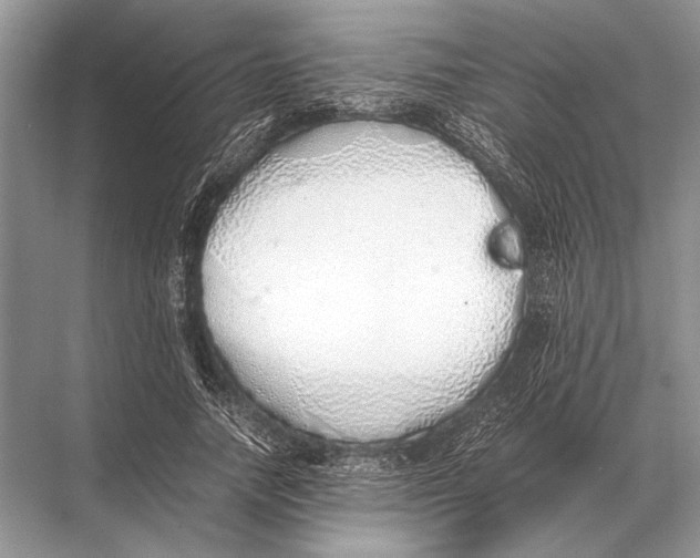 X0000067870738200605041806