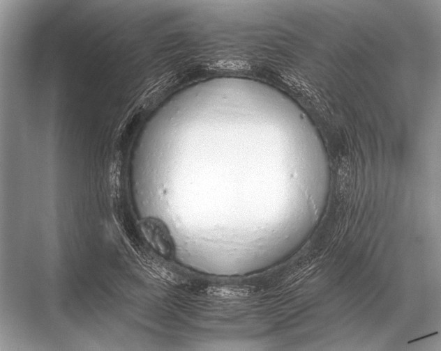 X0000067870739200605041806