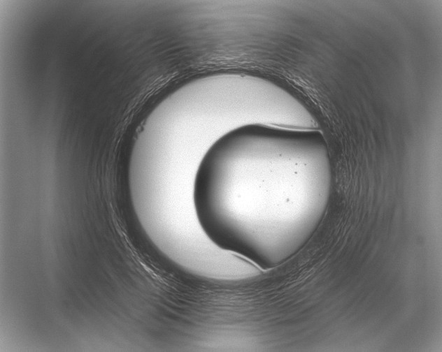 X0000067870740200605041806