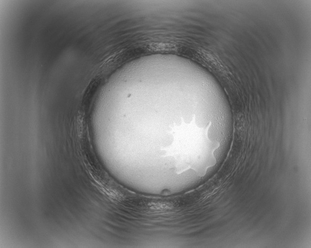 X0000067870741200605041807