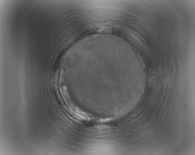 X0000067870748200605041807