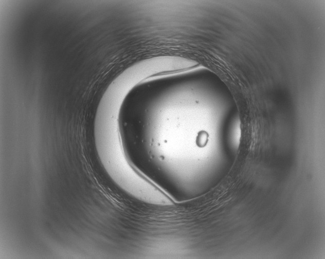 X0000067870750200605041807