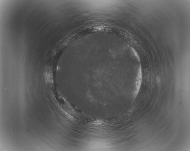 X0000067870754200605041807