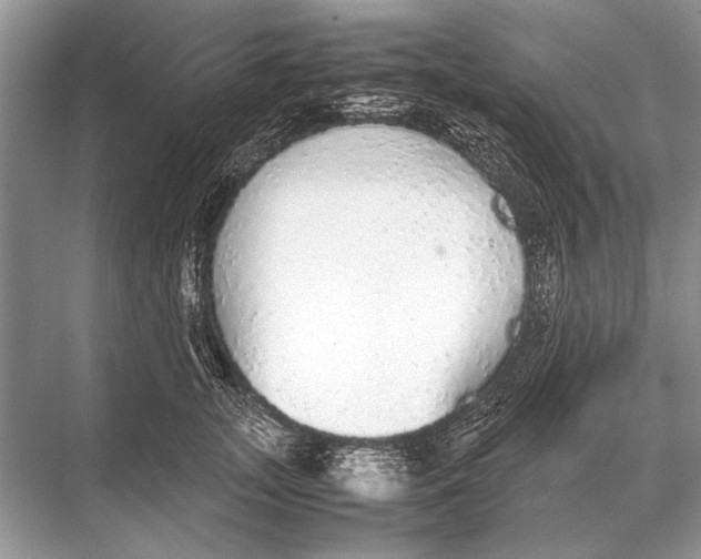 X0000067870755200605041807