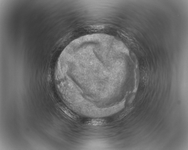 X0000067870758200605041807