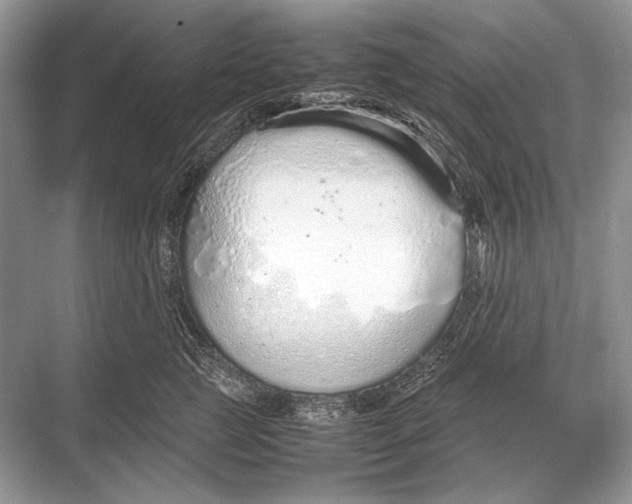 X0000067870761200605041807